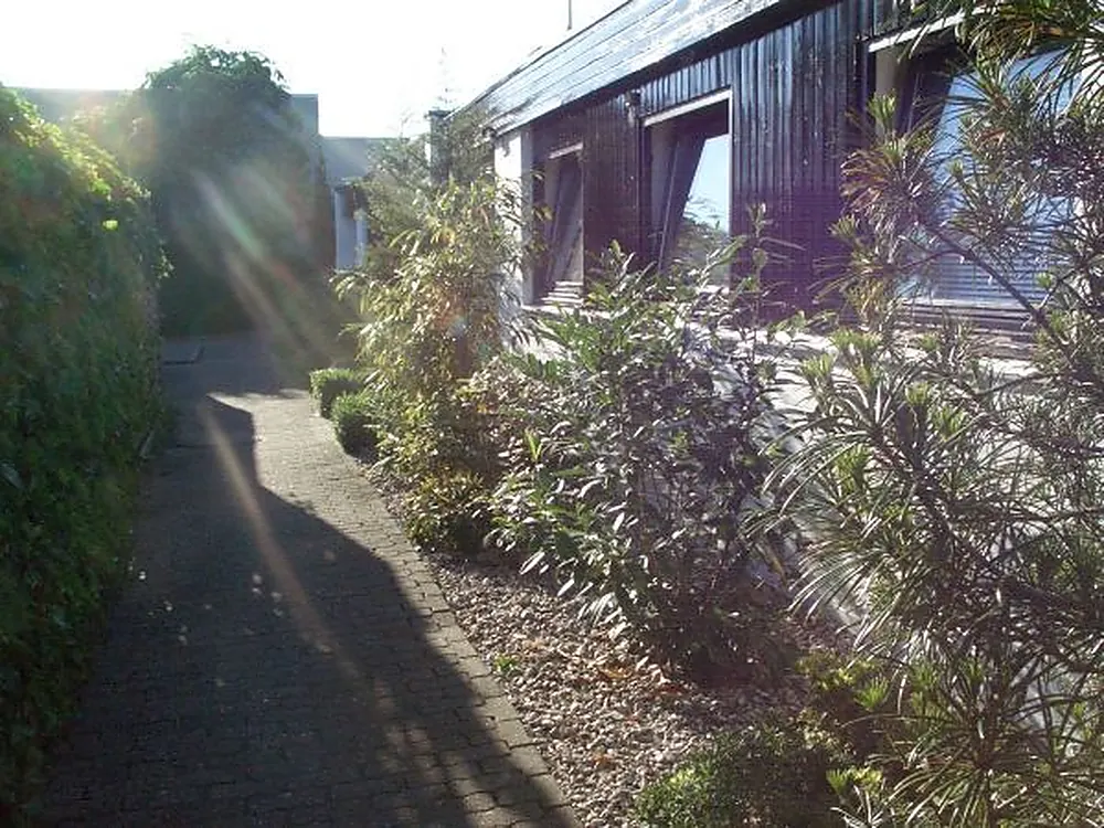 Schmaler, sonniger Gartenweg zwischen Hecke und dunkler Holzfassade