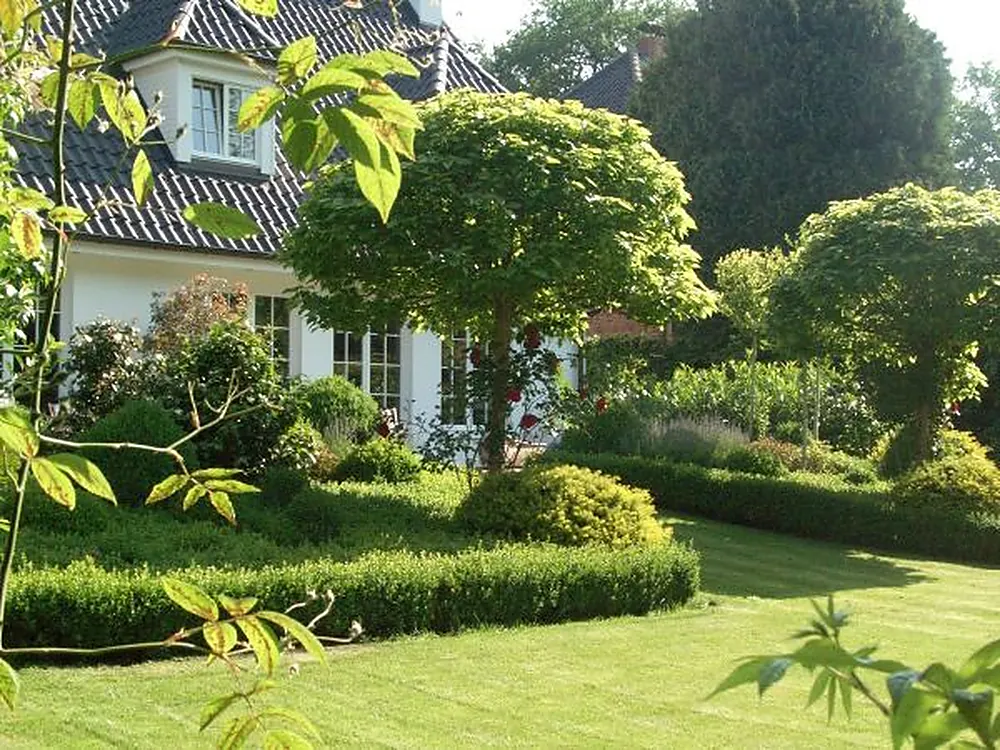 Sonniger Garten mit geschnittenem Rasen, Buchsbaumhecken und altem Baumbestand